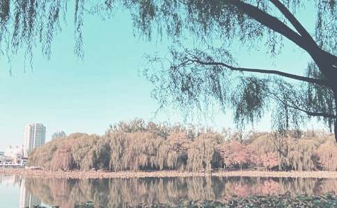 �����＾�¹���~�Z(y��)