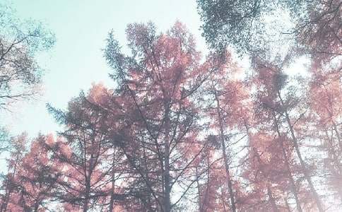 描寫秋季景色的四字詞語