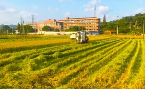 秋收作文400字5篇