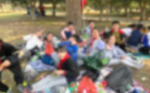 小螞蟻去秋游作文