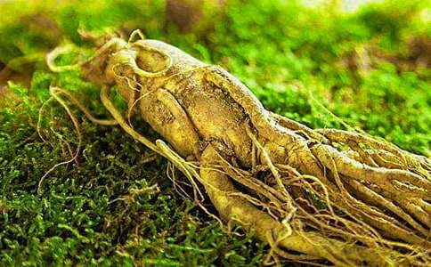 ��Ո�e�˅��ӻ�ӵ���Ո��