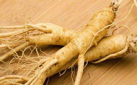 人參長身不老的證據(jù)作文800字