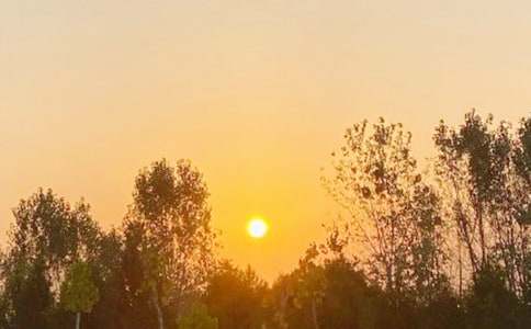 ��һĻ�ճ���������600��