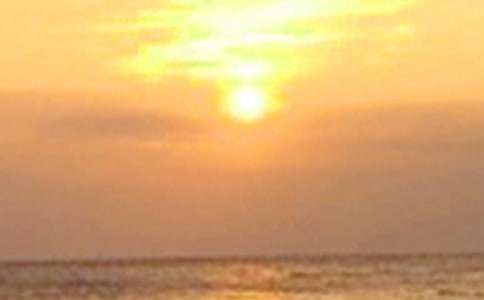 【實(shí)用】日落作文合集十篇