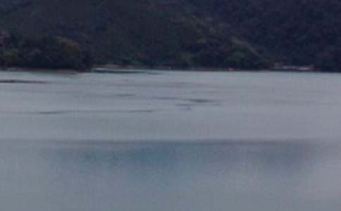 描寫臺灣的日月潭作文(精選28篇)