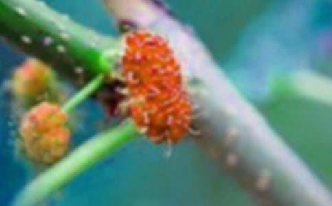 ժɣ������300�־�ƪ