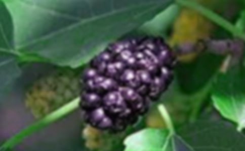 ɣ���^����ӛ450��