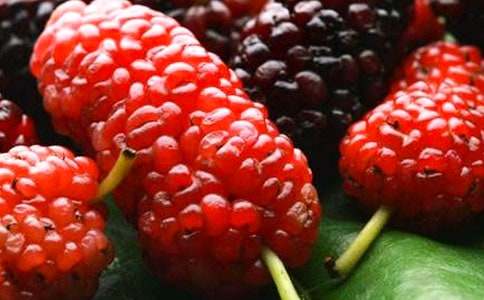 ժɣ�����ģ�ͨ��58ƪ��