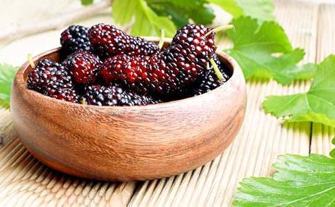 家鄉(xiāng)的桑葚作文