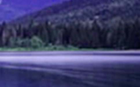 我心中的山水田園作文4篇