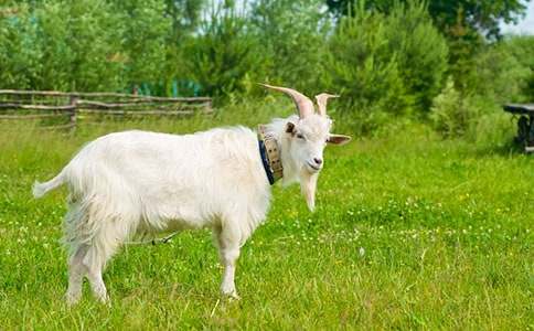 ɽ������400����ƪ