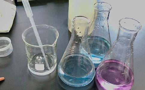 實(shí)驗(yàn)室中的魚(yú)作文