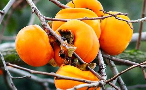 ��ͨ�á��茑���Ә������5ƪ