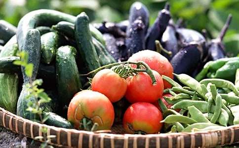 未來的蔬菜想象作文