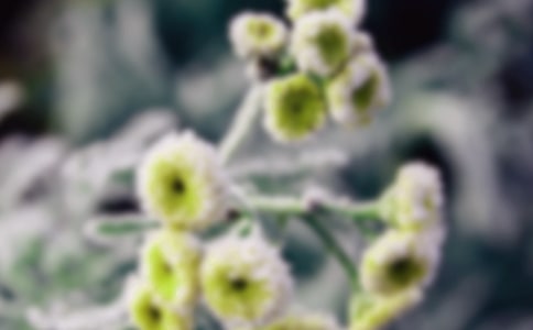 ���f��˪��ɢ��