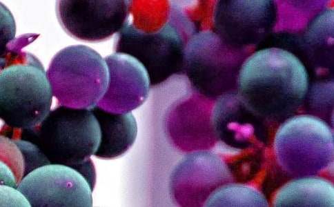 �P(gu��n)����ϲ�g��ˮ��С�W(xu��)������