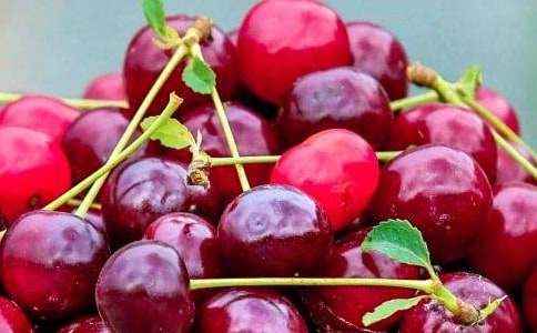 水果節(jié)作文400字分享