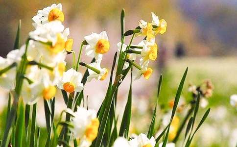 �ЌW(xu��)���ģ�����ˮ�ɻ�