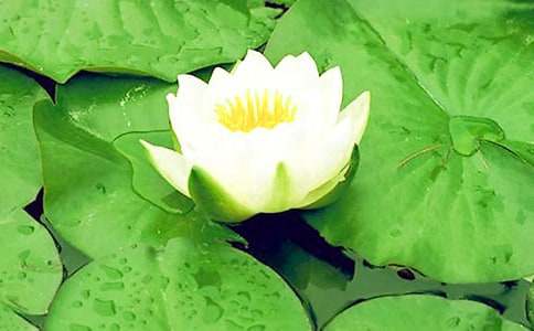 ˯ɏС�W(xu��)����100��