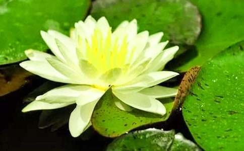 ��˯ɏ�����ķ���400�֣����x12ƪ��