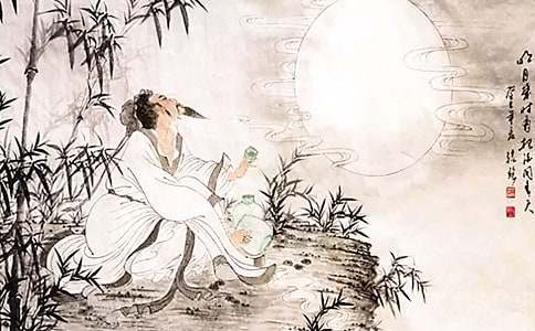 我心中的蘇軾作文(通用36篇)