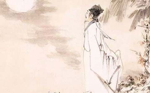 我眼中的蘇軾的作文