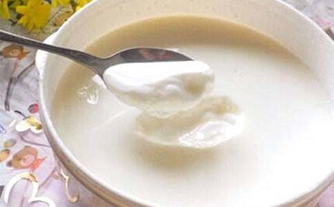 我給小貓喂酸奶作文900字