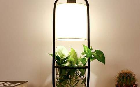 �ҵ��_(t��i)�����꼉(j��)���ģ����x68ƪ��