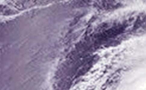 ���µ��_(t��i)�L(f��ng)��(y��u)������350��