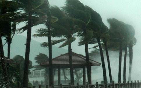 描寫臺風(fēng)的作文(精選33篇)