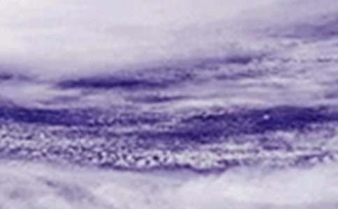 臺(tái)風(fēng)是惡夢(mèng)作文