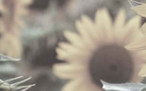 �茑̫ꖻ�����