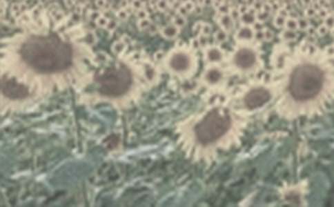 ��ϲ�g̫ꖻ�_��������