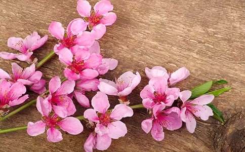 �һ����һ�����