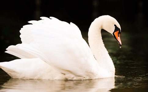 ���T�{���Z�����ģ����x27ƪ��