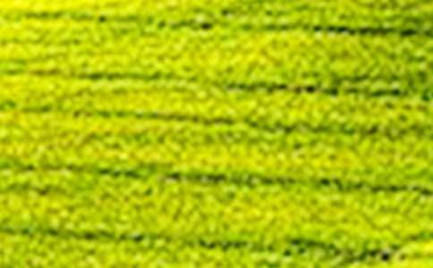 �����x����Ұ�L(f��ng)������