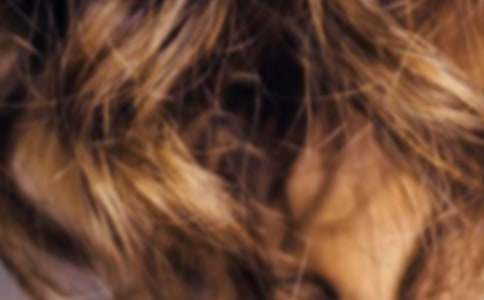 ���H���^�l(f��)���ĺϼ�5ƪ