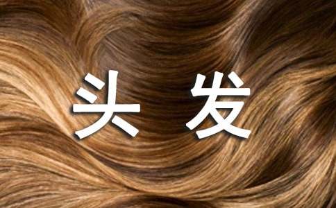 老爸的頭發(fā)作文