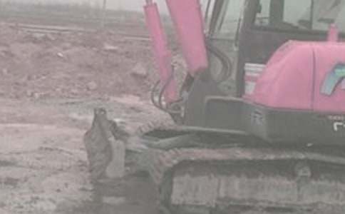 挖掘機租賃合同15篇