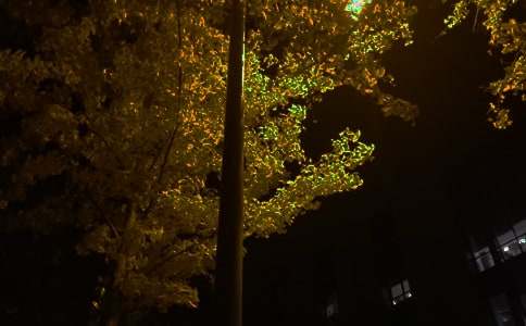 有感于幸福的晚安美圖