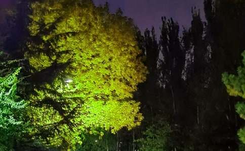 ��(g��)����������90��