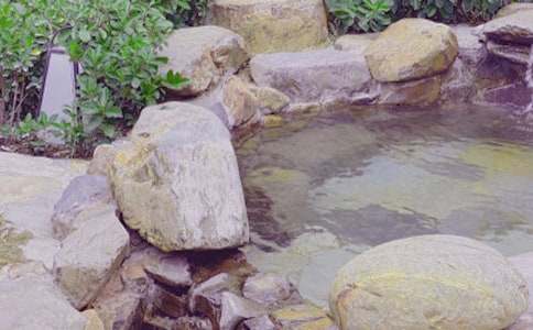 �ݜ�Ȫ-����Ȥ������400��