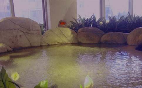 美妙的溫泉之旅作文900字(通用19篇)