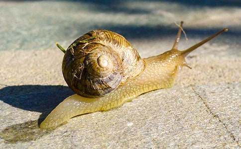 ΁ţ�ĉ�(m��ng)������10ƪ