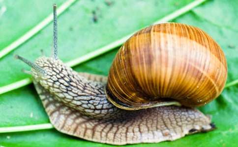 �茑�L(f��ng)�����΁ţ�����ģ����x20ƪ��