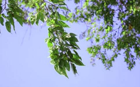 2020年溫馨的午安心語QQ匯編64句