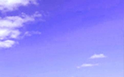 關(guān)于溫馨午安感言(精選90句)