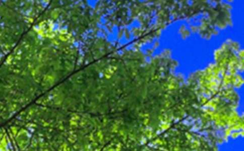 唯美的午安心語(yǔ)QQ集錦83句