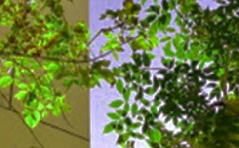 �����������簲���ԅR��70��