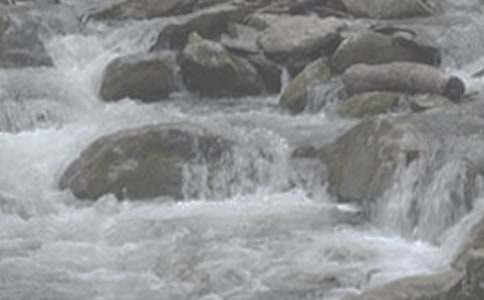 СϪ���ĸ�500�����ķ���